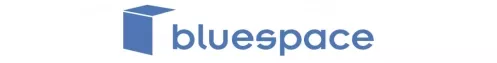 Sello Excellent Partner de Bluespace